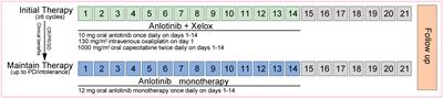 Efficacy and safety of anlotinib plus XELOX regimen as first-line therapy for mCRC: a single-arm, multicenter, phase II study (ALTER-C-001)